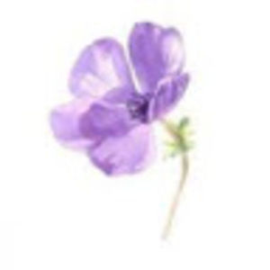 Meet your Posher, Violet